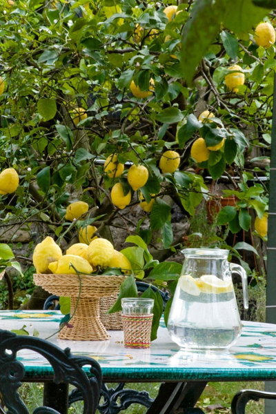 Chalet Lidia, Sorrento, Italy