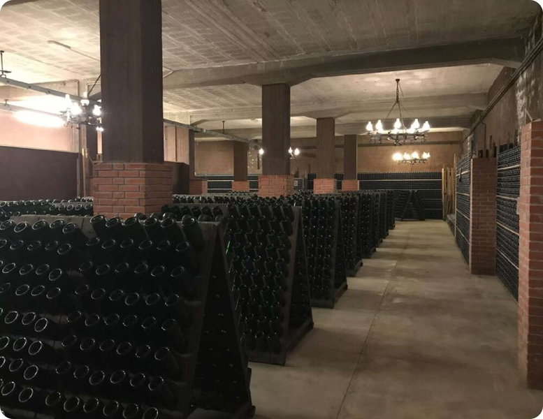 Casa M Vineyard, Chianciano Terme, Italy