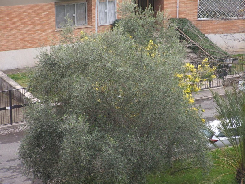 B&B La Cubanina, Rome, Italy