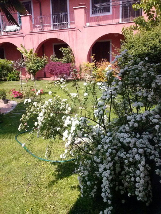 Le ginestre, Caselle Torinese, Italy