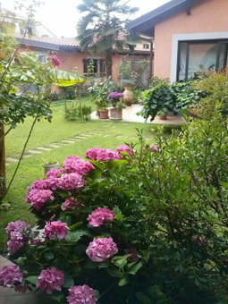 Le ginestre, Caselle Torinese, Italy