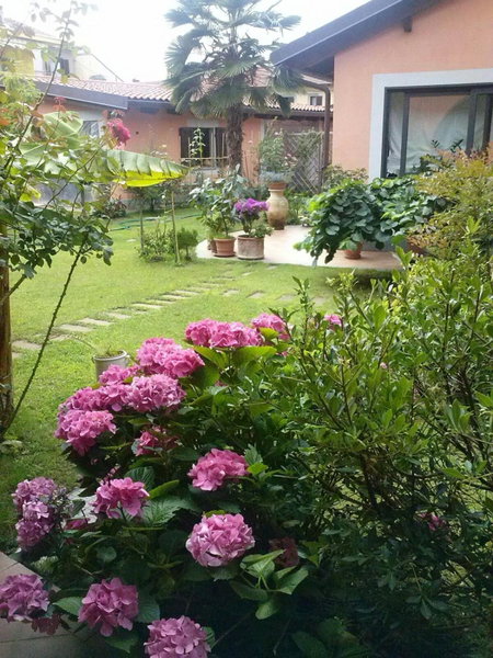 Le ginestre, Caselle Torinese, Italy