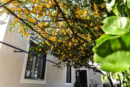 B&B Guest Armonie, Torre del Greco, Italy