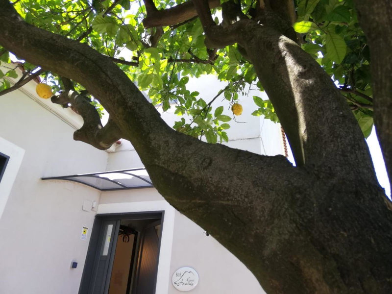 B&B Guest Armonie, Torre del Greco, Italy