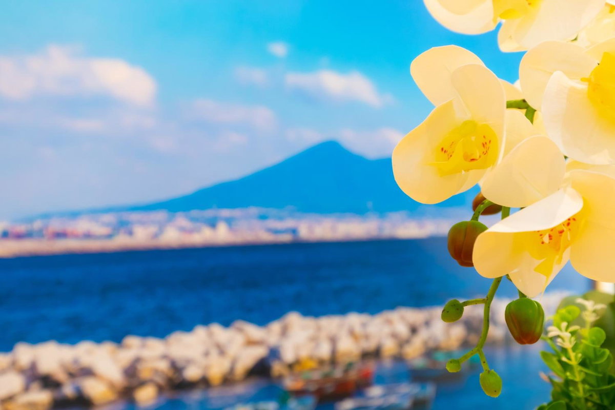 Le Meraviglie Di Napoli, Italy