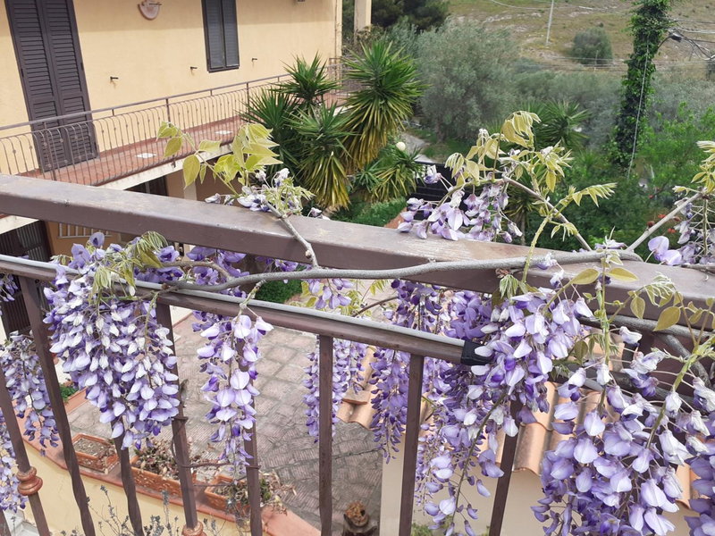 Casa Degli Oleandri, Carlentini, Italy