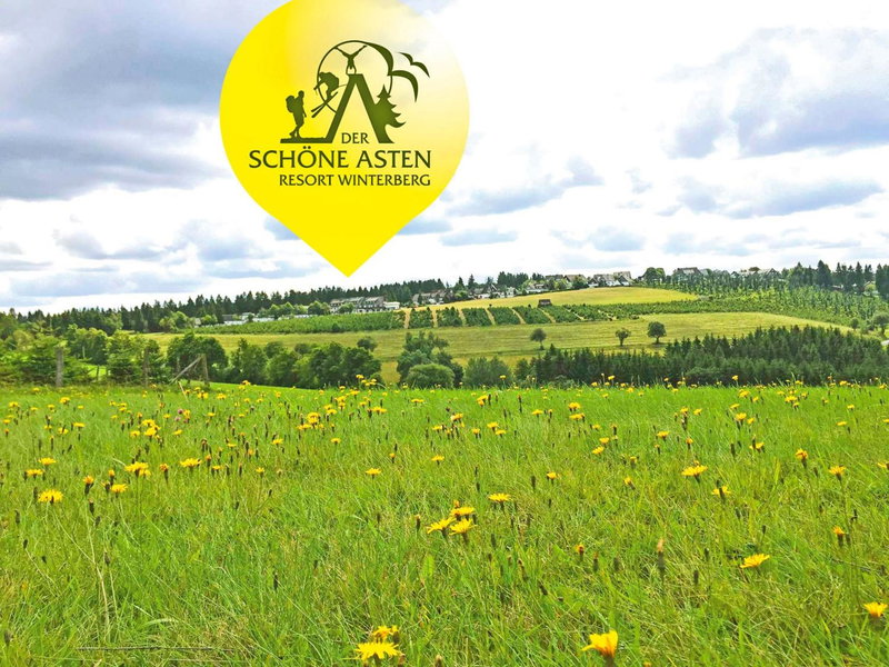 Der schöne Asten - Resort Winterberg, Winterberg, Germany