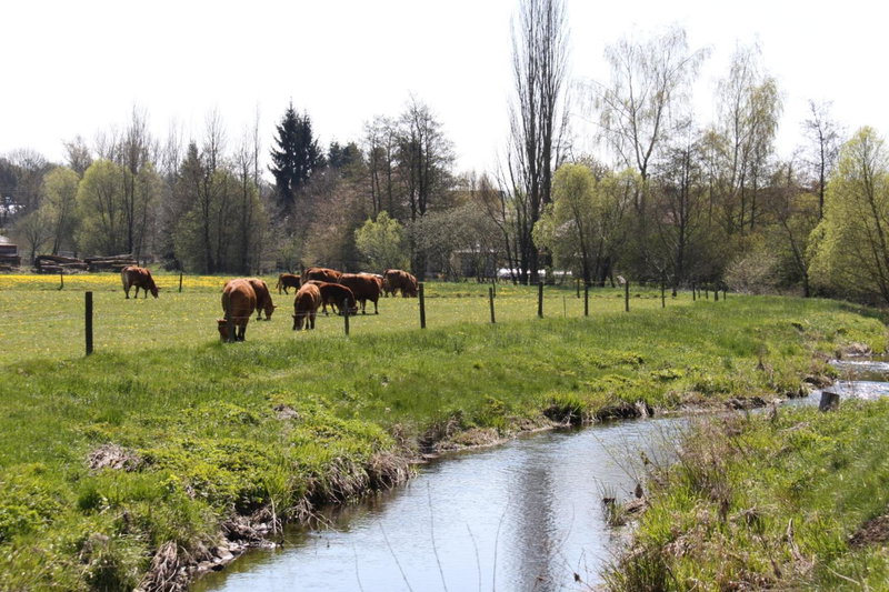 HOTEL SPATZENNEST Vogelsberg, Herbstein, Germany