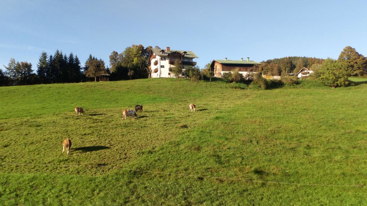 Hotel · Die schlafende Goass, Bischofswiesen