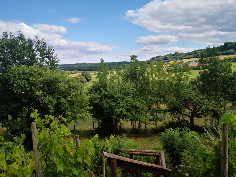 Landhotel Saar-Mosel, Tünsdorf, Germany