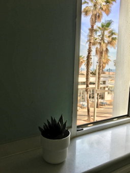Hotel Miramar Valencia, Valencia, Spain