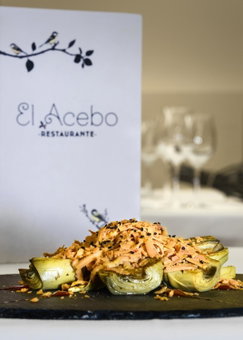 Hotel El Acebo, Jaca, Spain