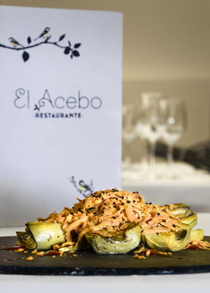 Hotel El Acebo, Jaca, Spain