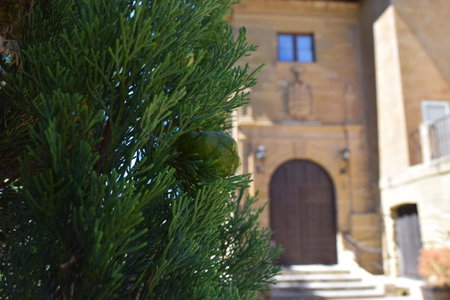 Hospedería Palacio de Casafuerte, Zarratón, Spain