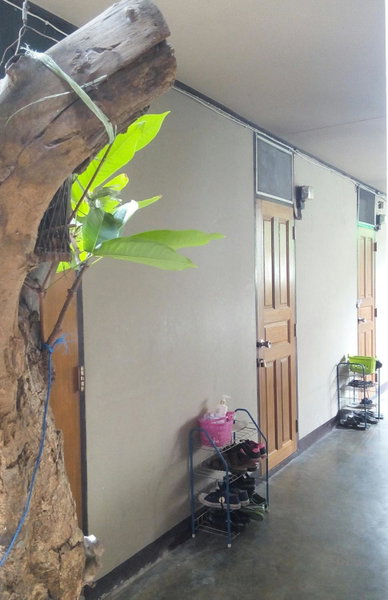 Anurak Guesthouse, Bangkok, Thailand