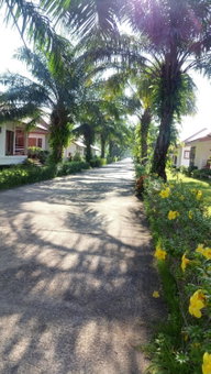 Armonia Village Resort and Spa, Chumphon, Thailand