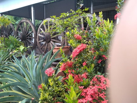 Ban Khun Rin Homestay, Amphawa, Thailand