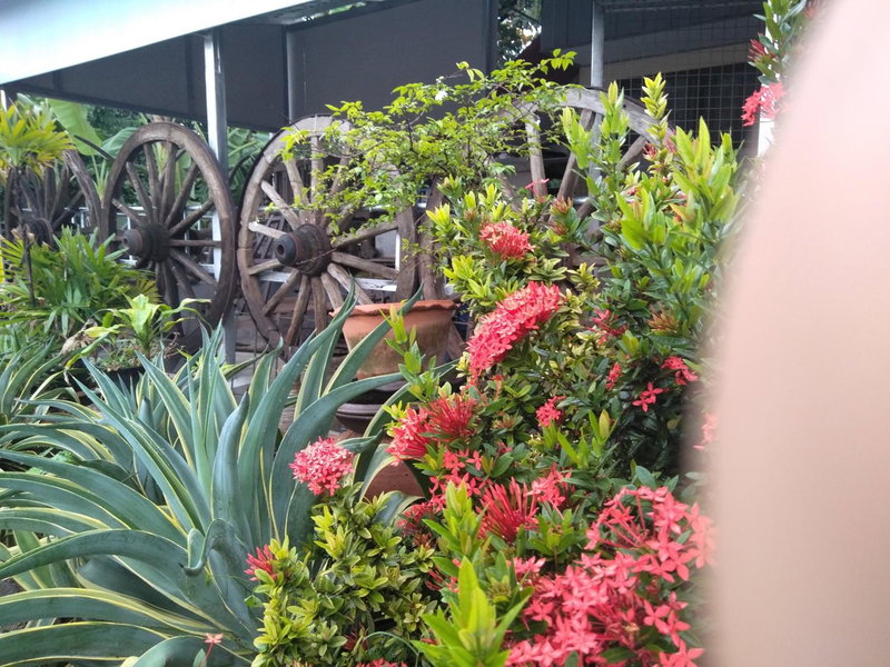 Ban Khun Rin Homestay, Amphawa, Thailand