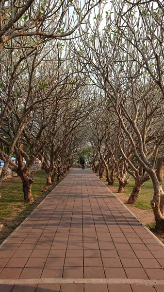 Baan Mai Muang Nan, Nan, Thailand