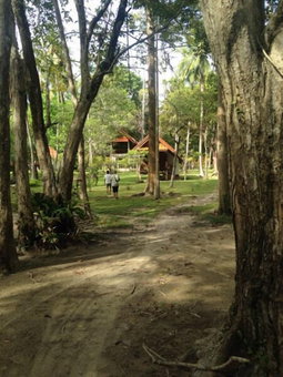 Joy Bungalow, Nuea Khlong, Thailand