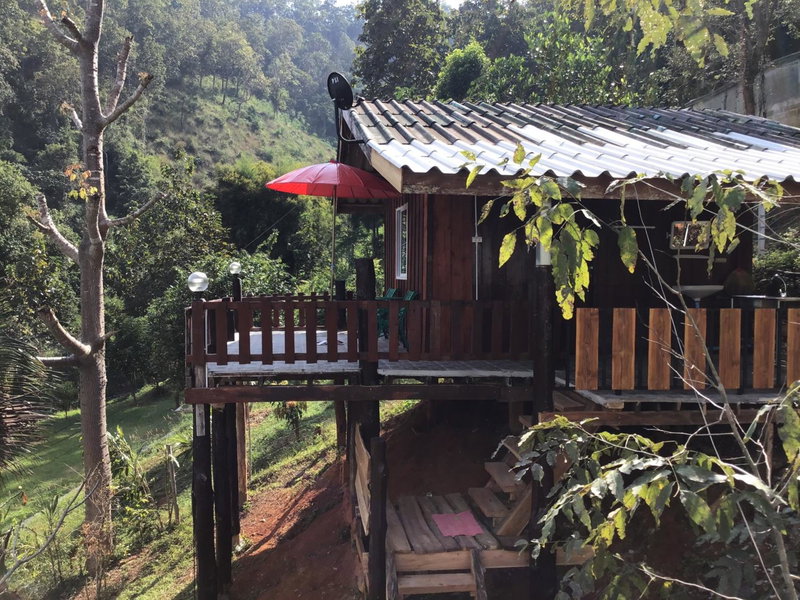 Forest Guesthouse, Samoeng, Thailand