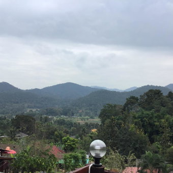 Forest Guesthouse, Samoeng, Thailand