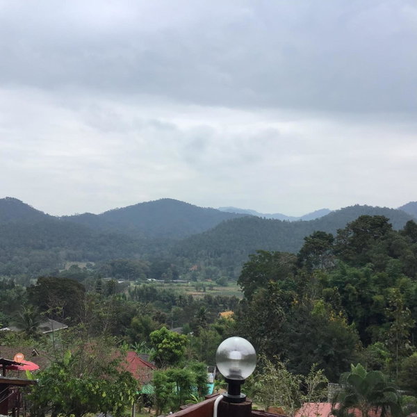 Forest Guesthouse, Samoeng, Thailand