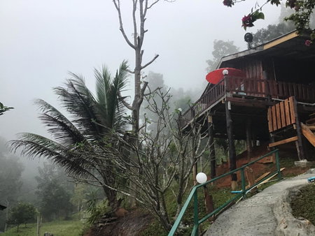 Forest Guesthouse, Samoeng, Thailand