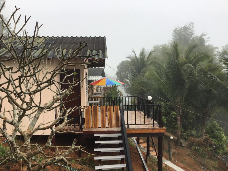 Forest Guesthouse, Samoeng, Thailand