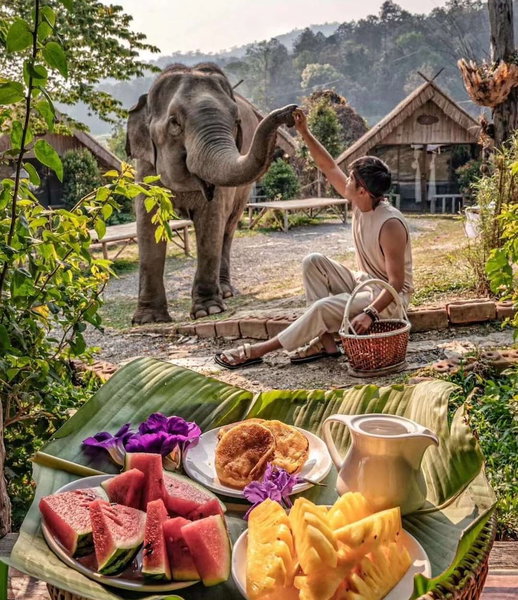 3pok resort Maewang jinxing, Mae Wang, Thailand