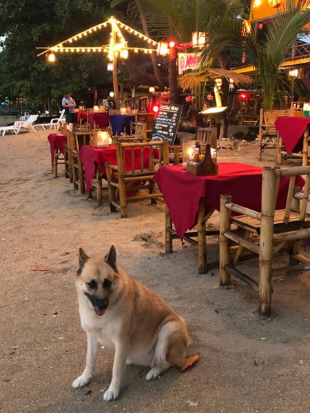 Moonwalk Lanta Resort, Ko Lanta, Thailand