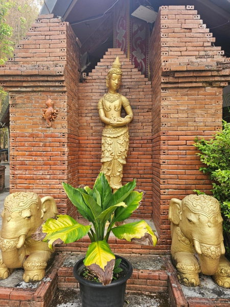 Phu Jaya Floresta Resort by ALPHATEL PARTNER, Chiang Mai, Thailand
