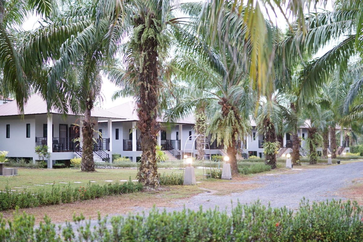 Hotel · Palm Scenery Resort, Takua Pa
