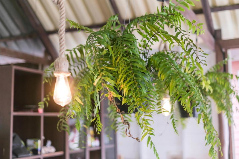 BOHO Hostel, Ko Lanta, Thailand