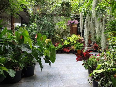 37 Nature House, Bangkok, Thailand