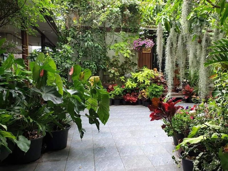 37 Nature House, Bangkok, Thailand