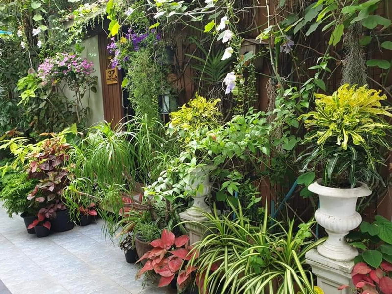 37 Nature House, Bangkok, Thailand