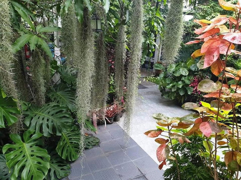 37 Nature House, Bangkok, Thailand
