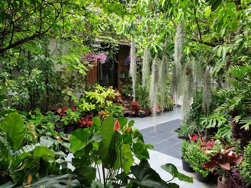 37 Nature House, Bangkok, Thailand