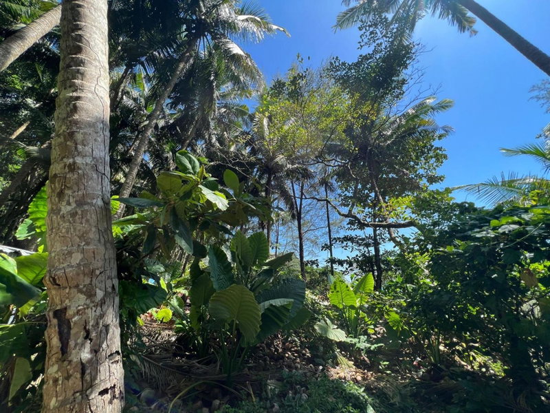 Villa KHAO MANEE, Nai Yang Beach, Thailand