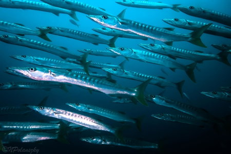 Forra Dive Resort Sunrise, Ko Lipe, Thailand
