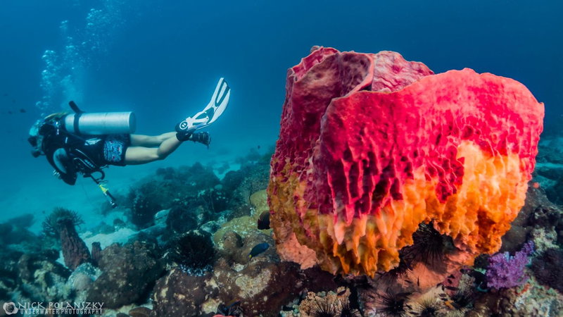 Forra Dive Resort Sunrise, Ko Lipe, Thailand