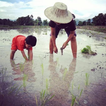 Ban Suan Nai Fun Homestay, Pua, Thailand