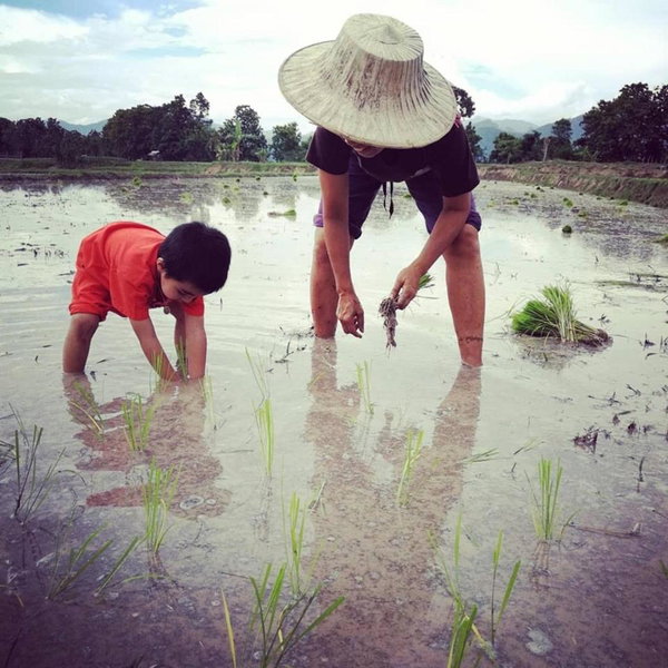 Ban Suan Nai Fun Homestay, Pua, Thailand