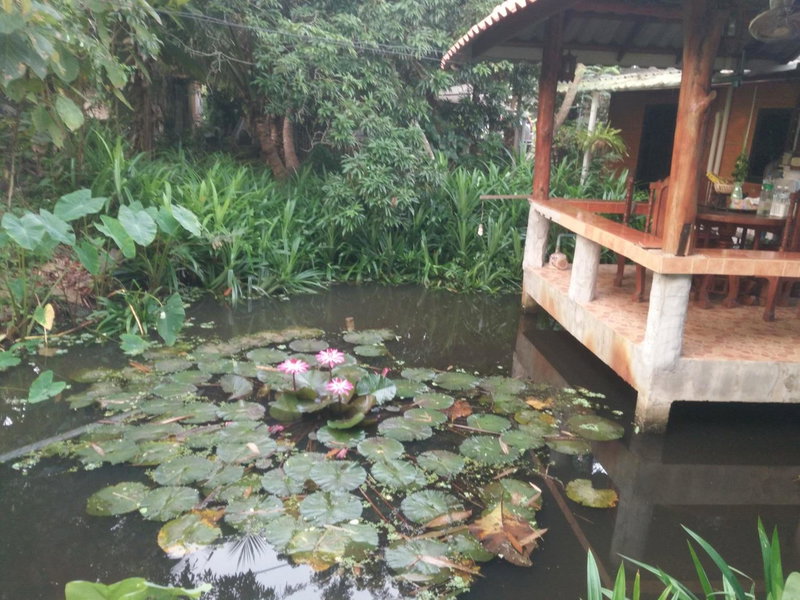 ต้งโฮมหละปูน ณ ตูบคำ, Lamphun, Thailand