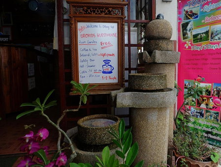 Orchid House, Chiang Rai, Thailand
