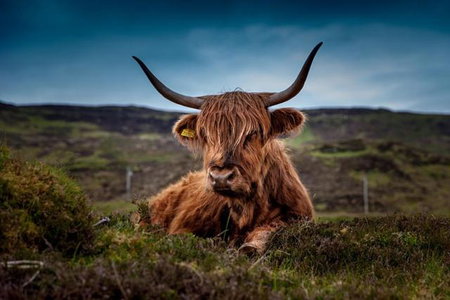 Kindale House, Helmsdale, United Kingdom