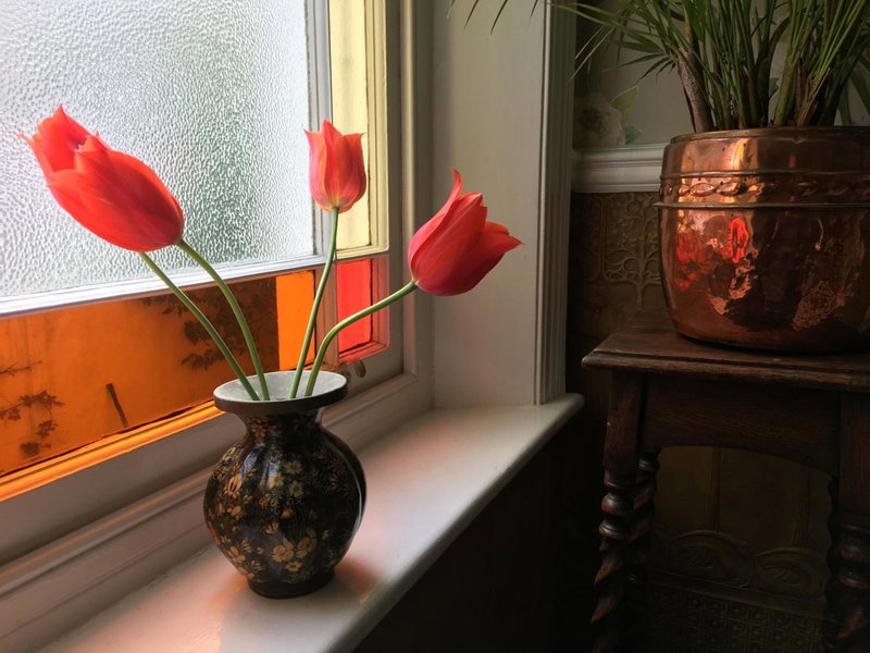 Anne’s House, Hastings, United Kingdom