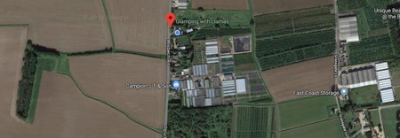Glamping with Llamas, Wisbech, United Kingdom
