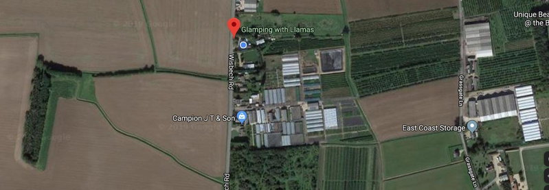 Glamping with Llamas, Wisbech, United Kingdom